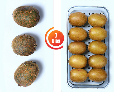 Vida útil prolongada